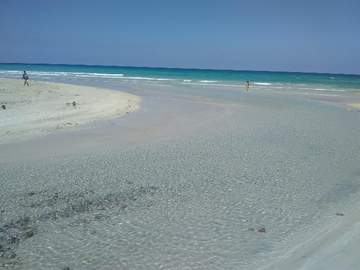 img0